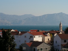 view from house.JPG